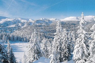 Stadl Chalet 124