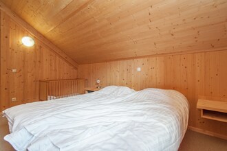 Stadl Chalet 124