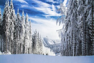 Ferienpark Winterberg 3