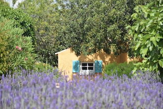 Quinta Amarela XXL