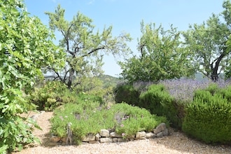 Quinta Amarela XXL