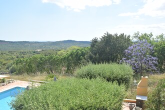 Quinta Amarela XXL