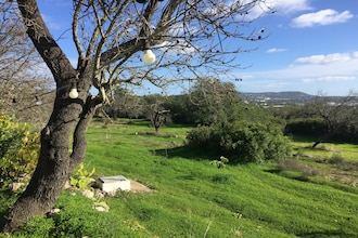 Casa Amarela