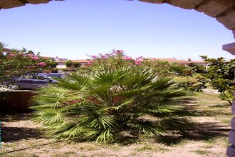 Tanchitrilo