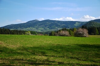 Prcholka