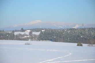 Prcholka