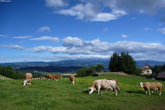 Klippitz 2