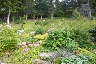 Klippitz 2