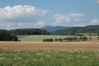 Zdenek