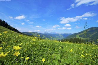 Mittenwald Top 1