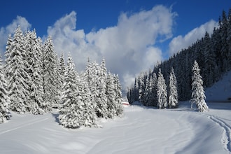 HORIZON BLANC