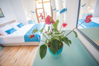 Villa Mare Vabriga