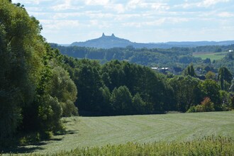 Borivoj