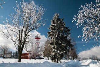 Borivoj