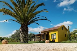 Casa Monte Cristo Apartments - Lemon