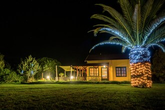 Casa Monte Cristo Apartments - Lemon