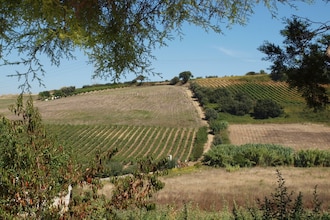 Quinta Santo António