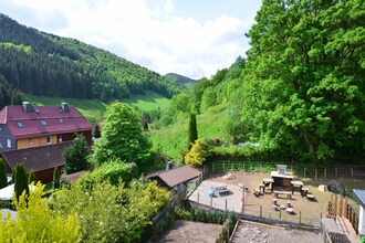 Herzberg im Harz