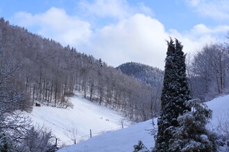 Herzberg im Harz