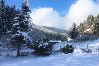 Herzberg im Harz