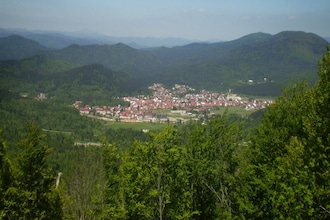 Silvano 1