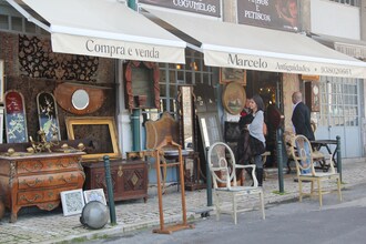 Apolonia
