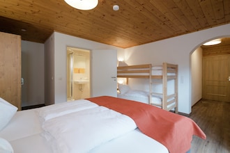 Alpensteinbock Saalbach L