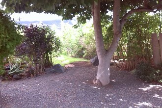 Casa Borboleta