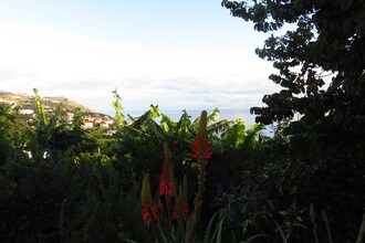 Casa Borboleta