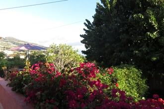 Casa Borboleta