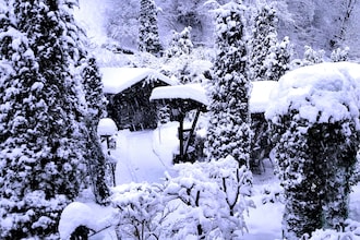 Herzberg am Harz