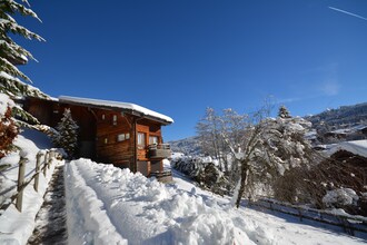 Vakantiehuizen Les Gets EUR-FR-74260-165