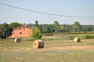 Lenze