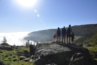 Chalet Steiermark