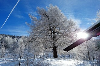 Samerhütte