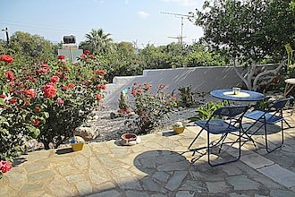 Blue Sea Studio