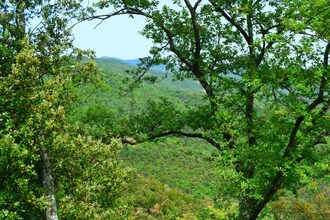 Il Casolare di Valle