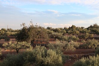 Finca Casa Filou