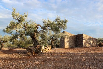 Finca Casa Filou