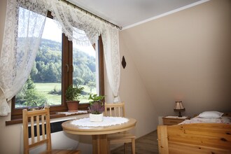 Mountain cottage Pławnica