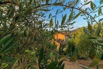 Villa Eloise