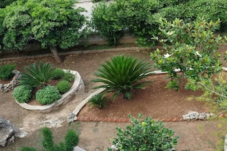 Ground floor apartment Splitska