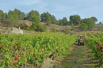 Sentier dEmélie
