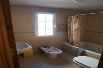 Appartement Tulipan