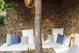 Evia Fox House