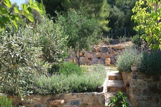 Evia Fox House