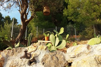 Evia Fox House
