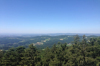 Im Bayerischen Wald