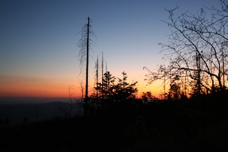 Im Bayerischen Wald