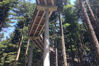 Im Bayerischen Wald